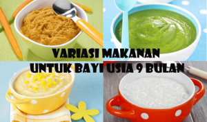 Mpasi 9 Bulan