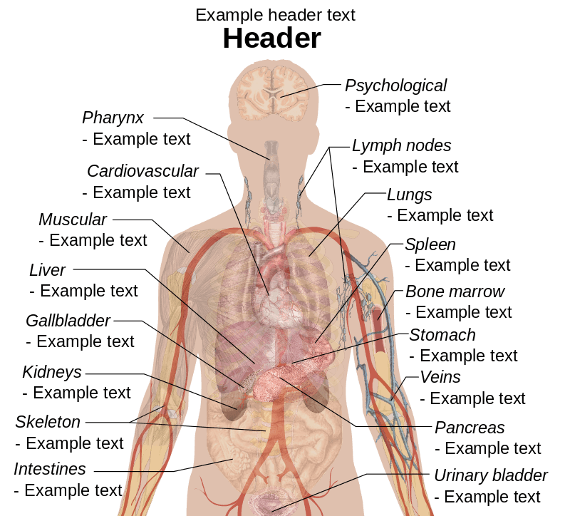 Ini Dia Tugas Dokter Spesialis Patologi Anatomi Tubuh